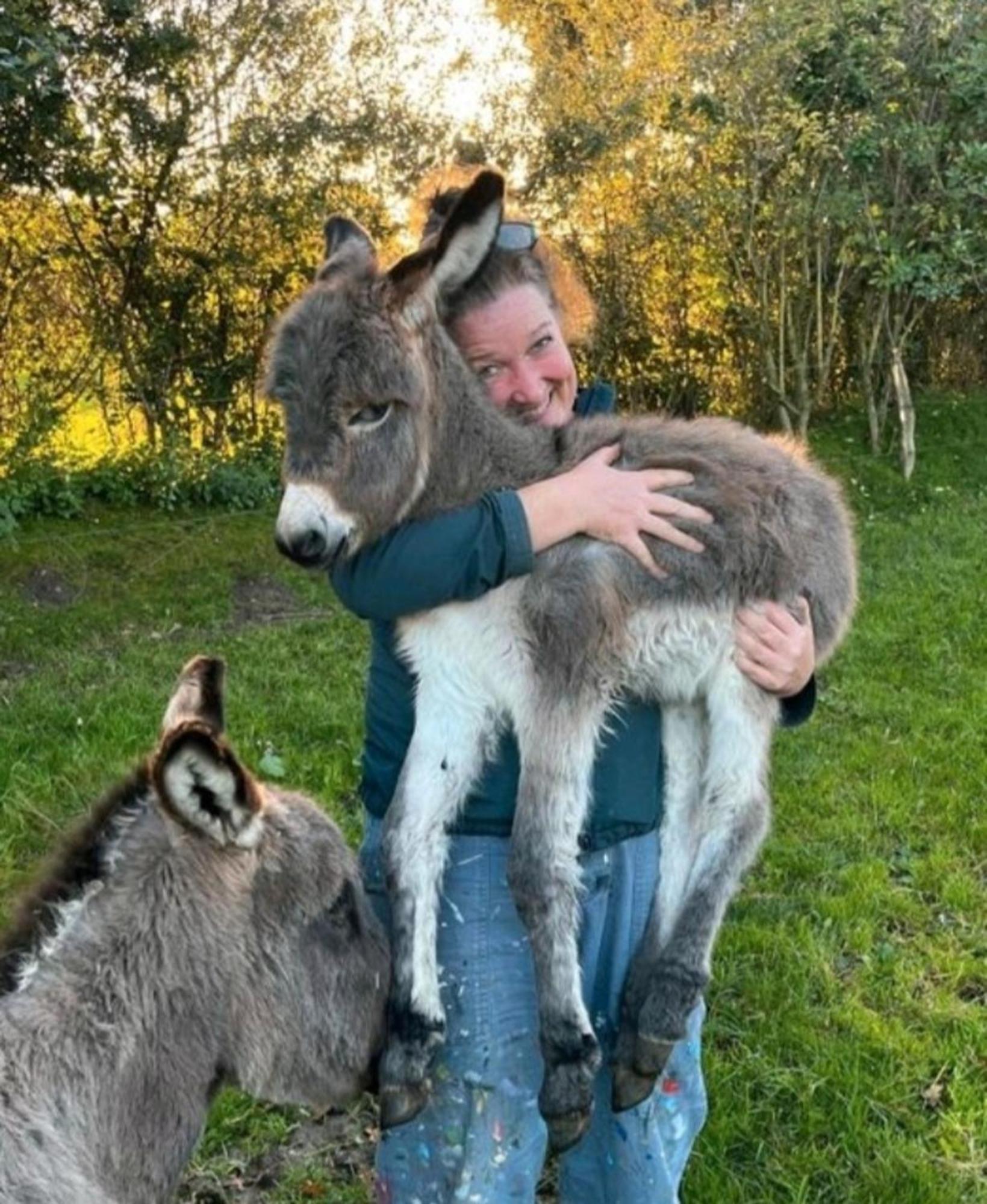 Appartamento Fewo Mareike Hanerau-Hademarschen Esterno foto